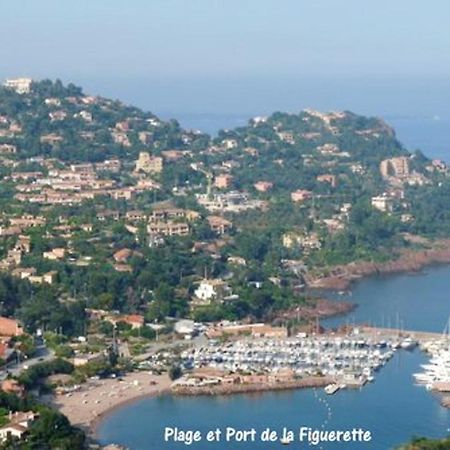 Studio A Theoule Sur Mer A 400 M De La Plage Avec Vue Sur La Mer Terrasse Amenagee Et Wifi Appartamento Esterno foto