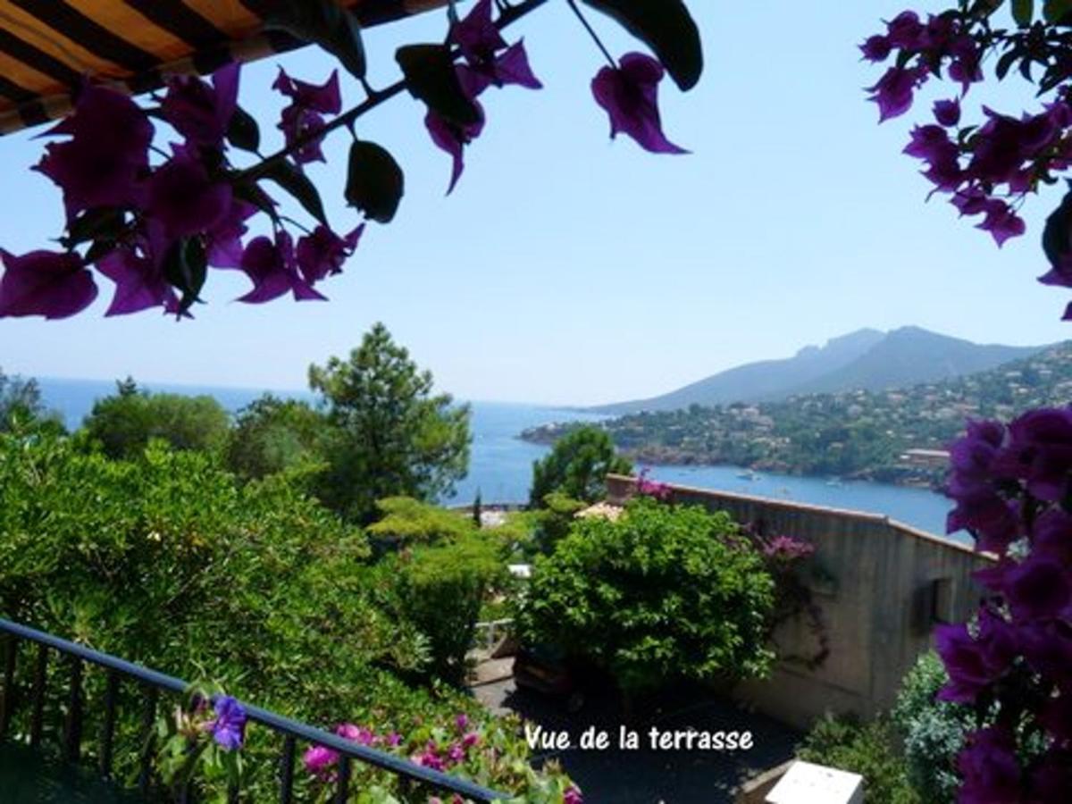 Studio A Theoule Sur Mer A 400 M De La Plage Avec Vue Sur La Mer Terrasse Amenagee Et Wifi Appartamento Esterno foto